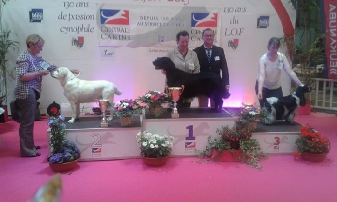 De Quattro Castella - Championnat de France - Dijon - 5 juin 2015