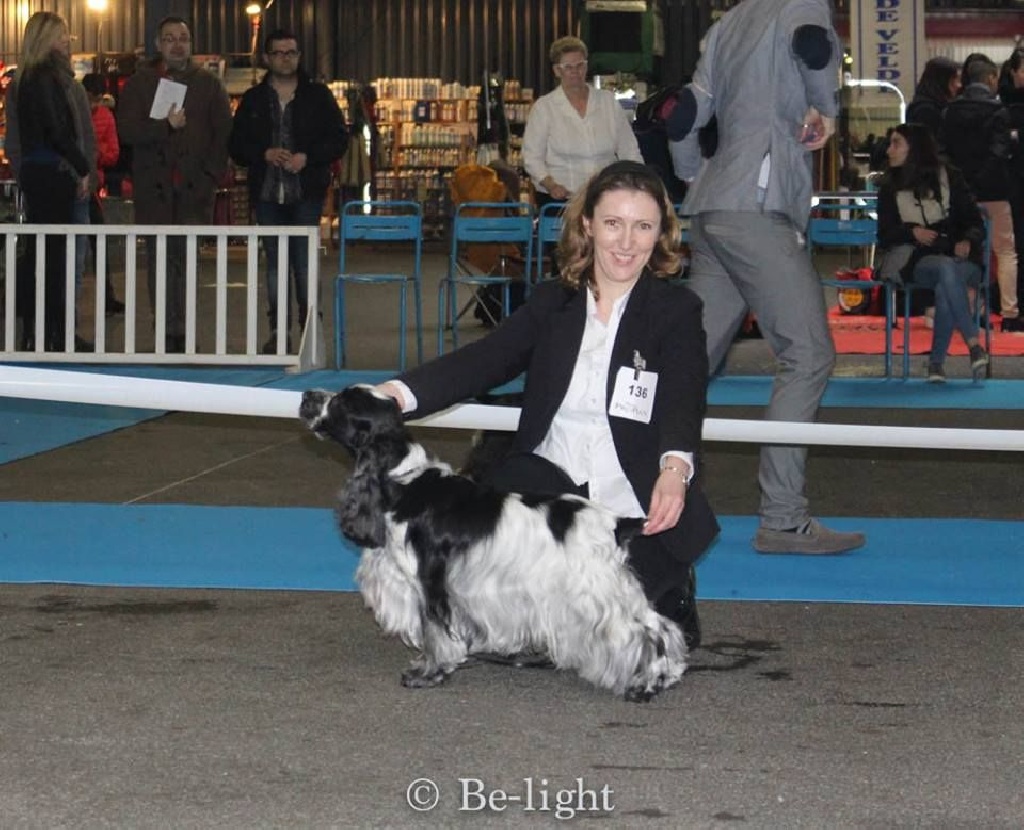 De Quattro Castella - MONTLUCON 2015